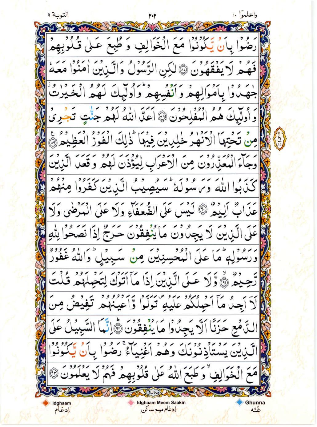 Read Al Quran 15 Lines Part / Chapter / Siparah 10 Page No 202