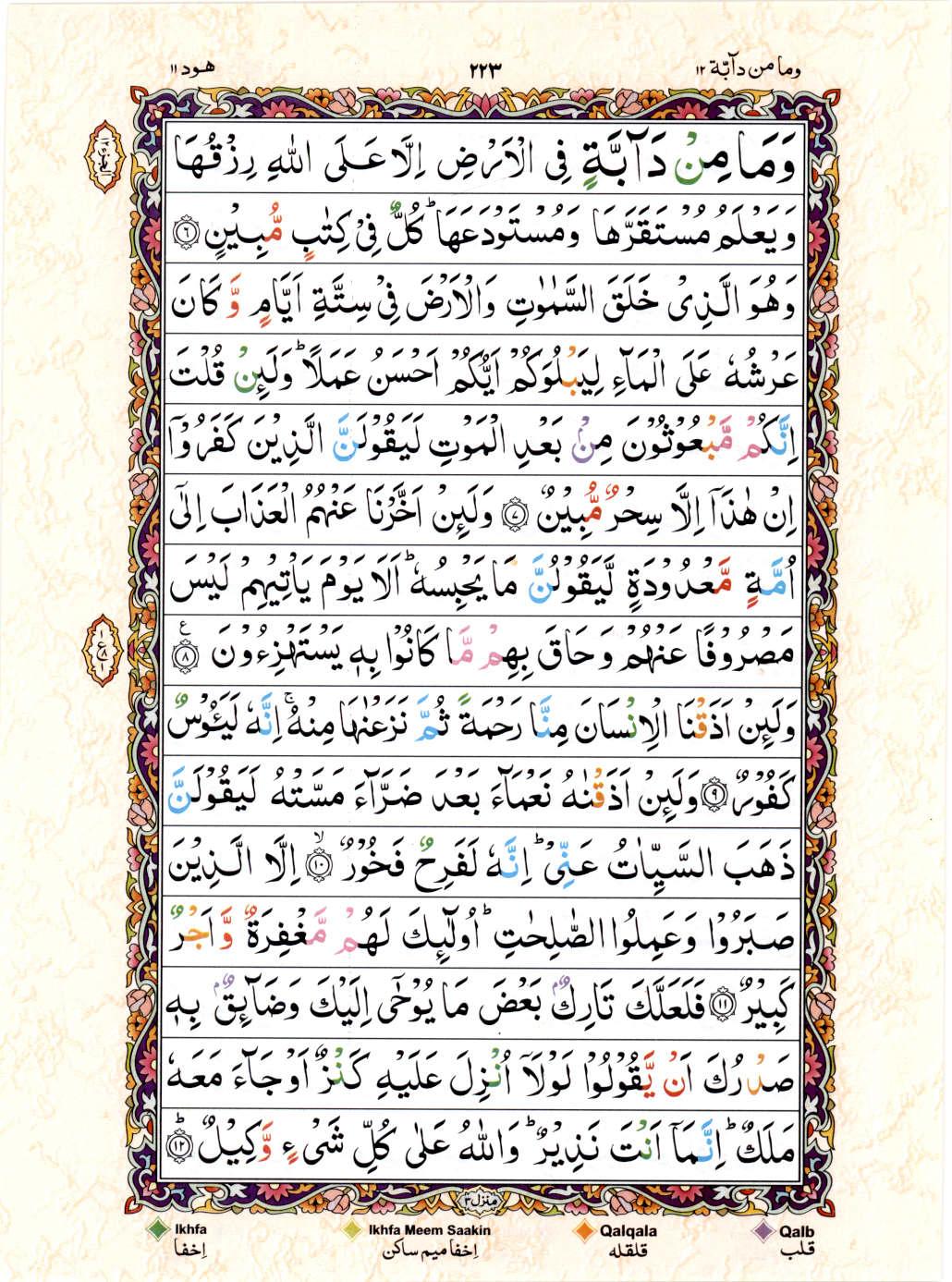 Read Al Quran 15 Lines Part / Chapter / Siparah 12 Page No 223