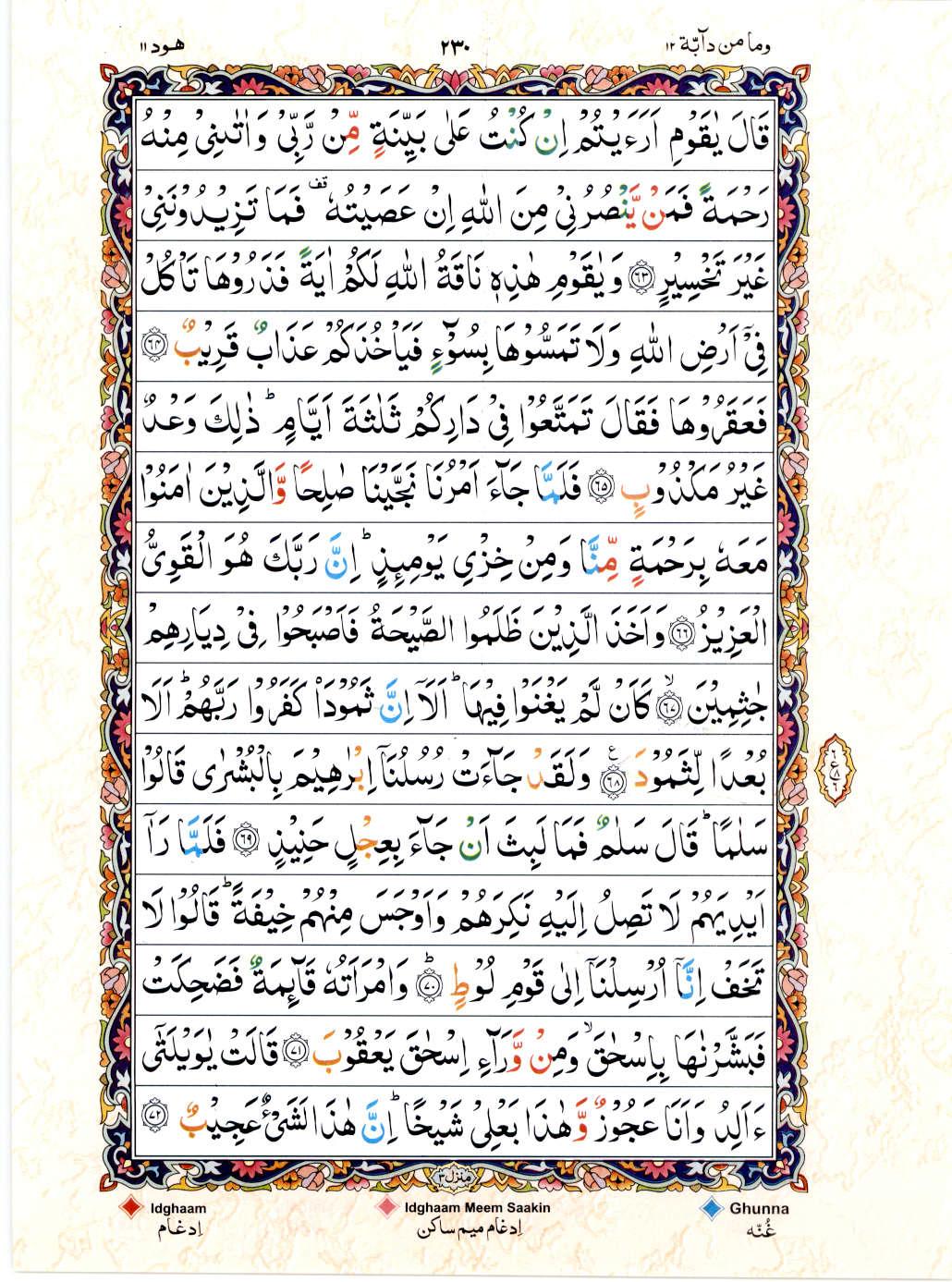 Read Al Quran 15 Lines Part / Chapter / Siparah 12 Page No 230