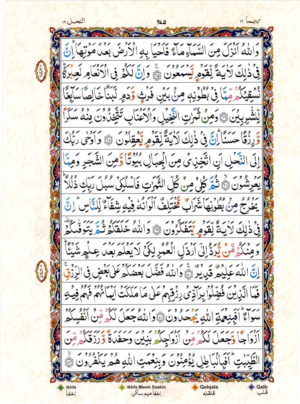 Read Al Quran 15 Lines Part / Chapter / Siparah 14 Page No 275