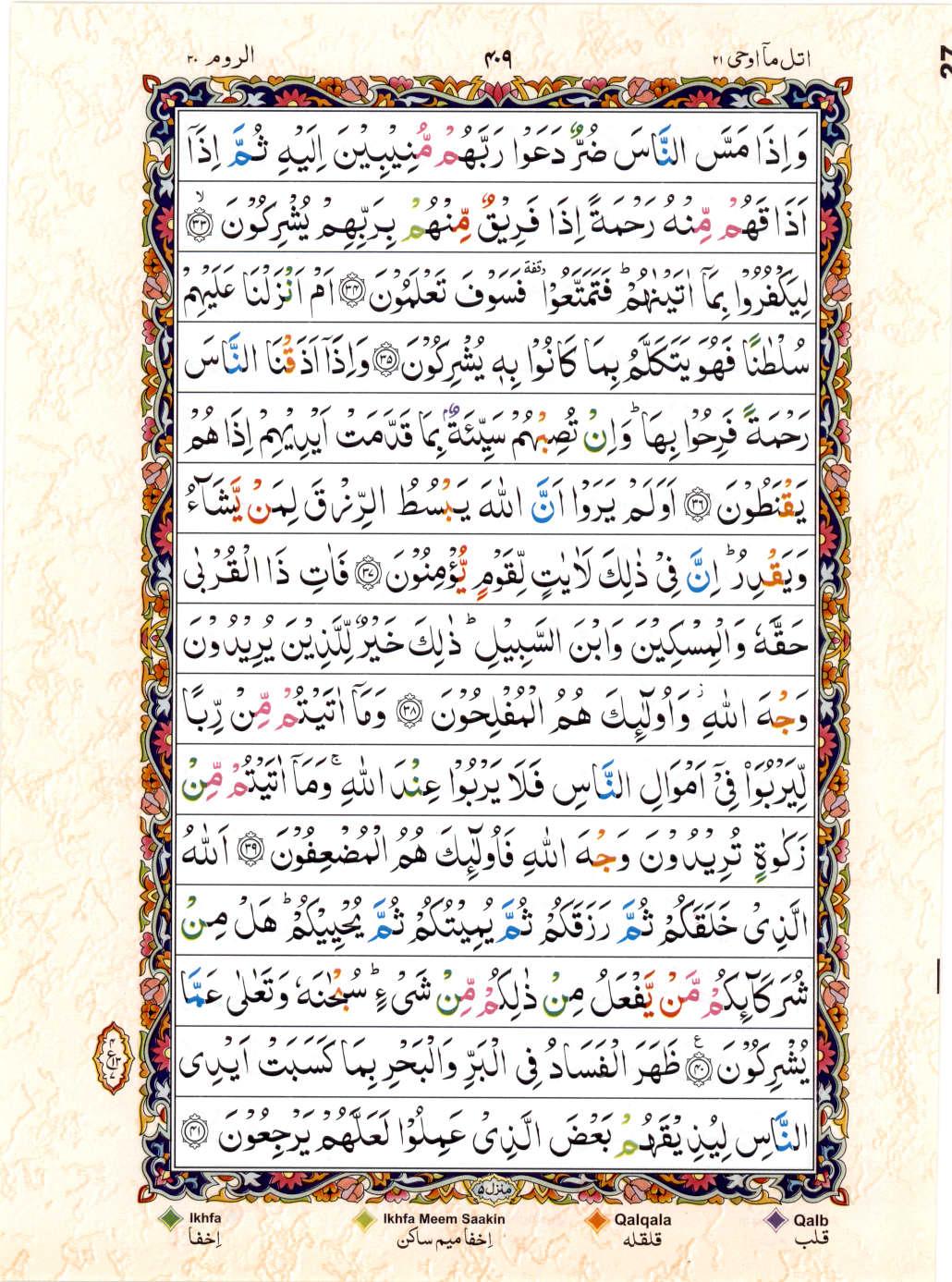 Read Al Quran 15 Lines Part / Chapter / Siparah 21 Page No 409