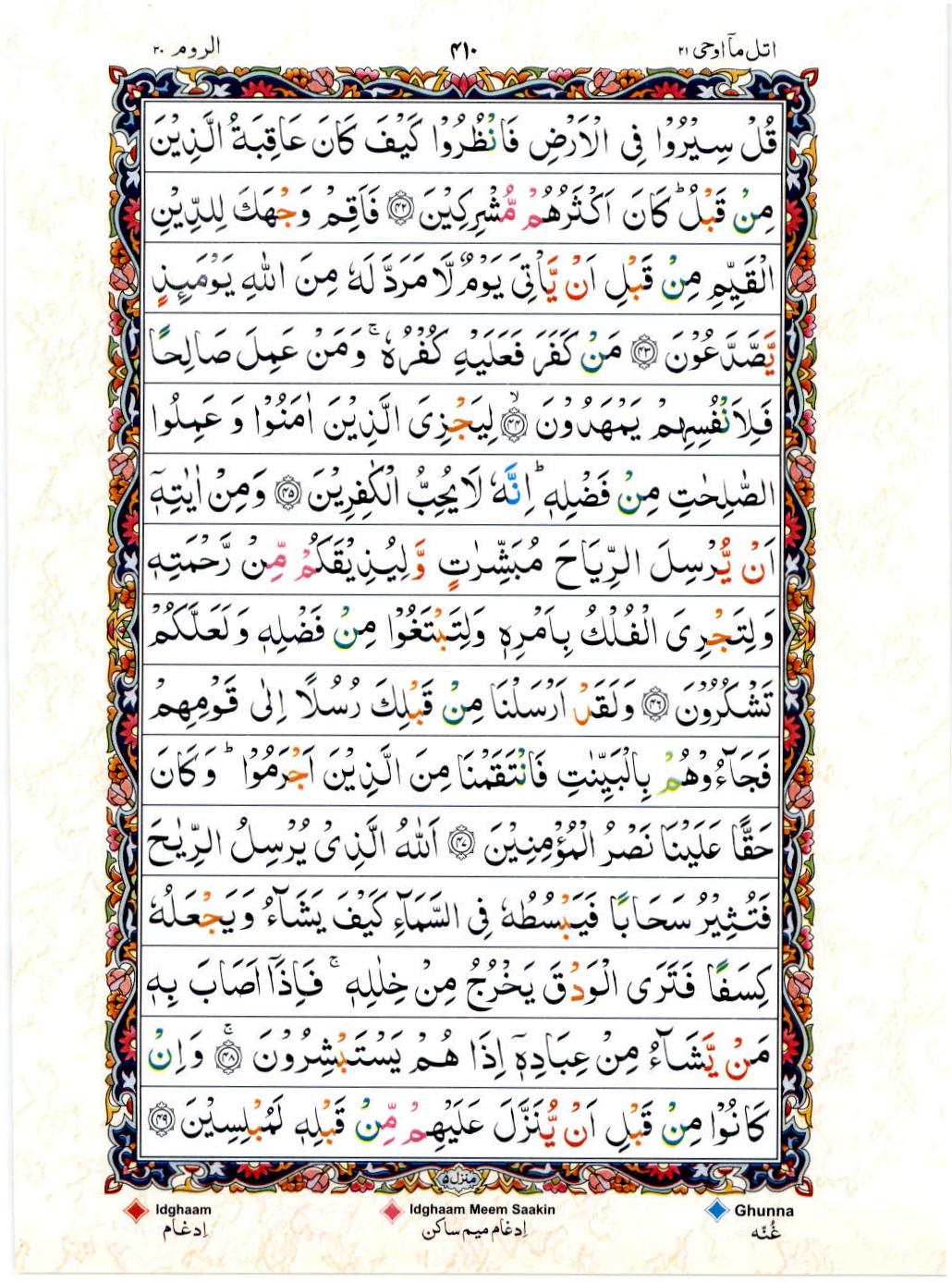 Read Al Quran 15 Lines Part / Chapter / Siparah 21 Page No 410