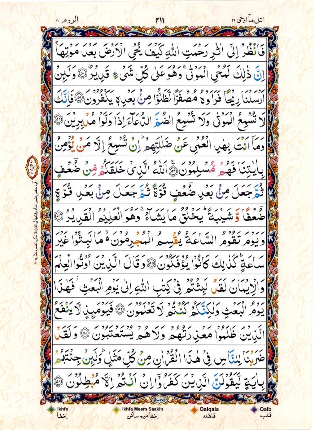 Read Al Quran 15 Lines Part / Chapter / Siparah 21 Page No 411