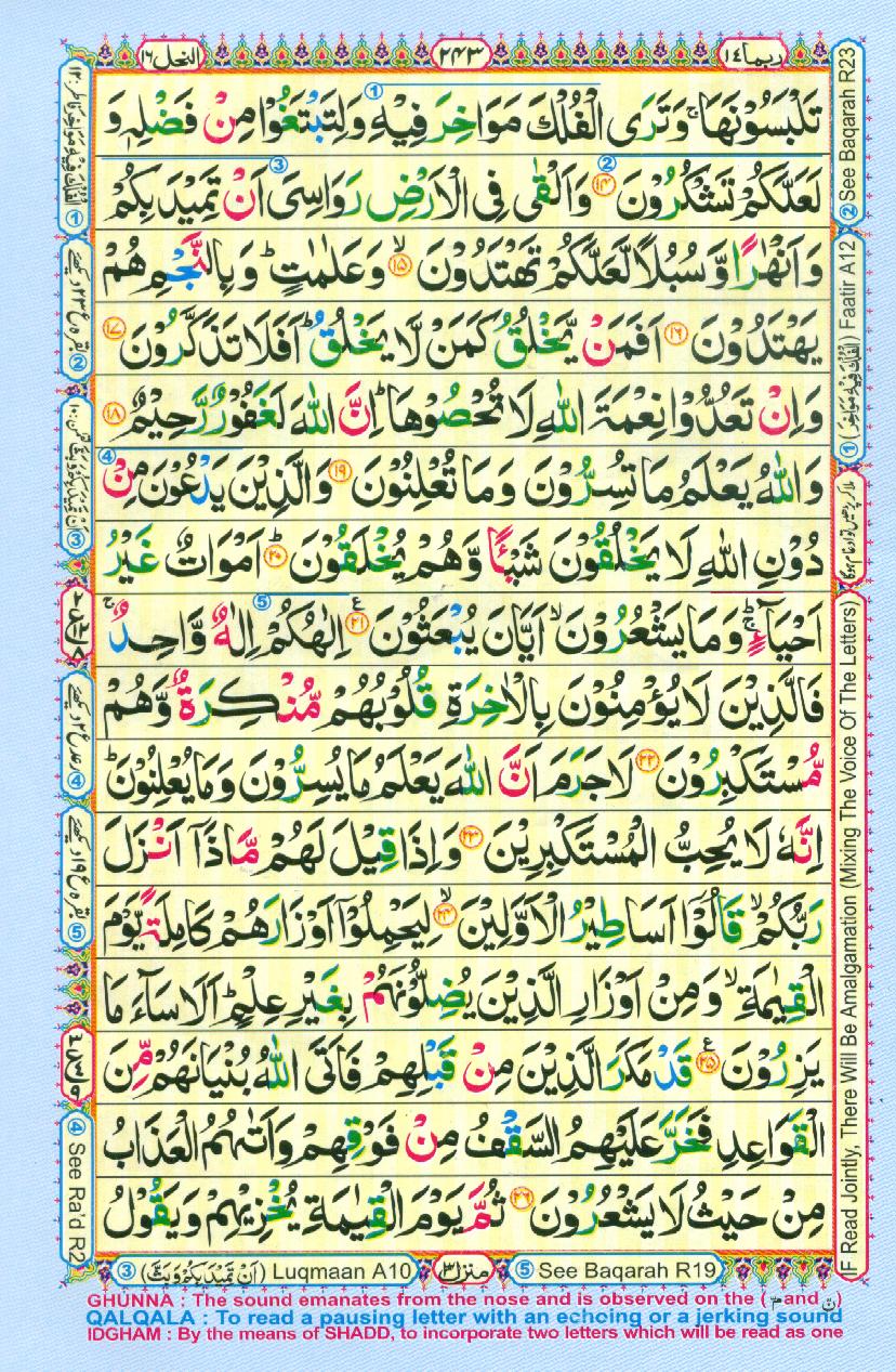 Read Al Quran Part / Chapter / Siparah 14 Page No 243