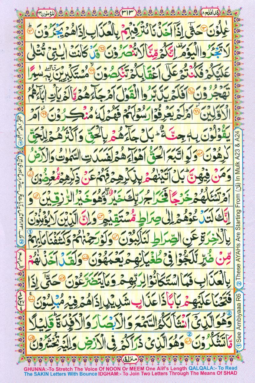 Read Al Quran Part / Chapter / Siparah 18 Page No 313