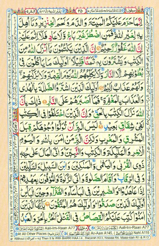 Read Al Quran Part / Chapter / Siparah 2 Page No 25
