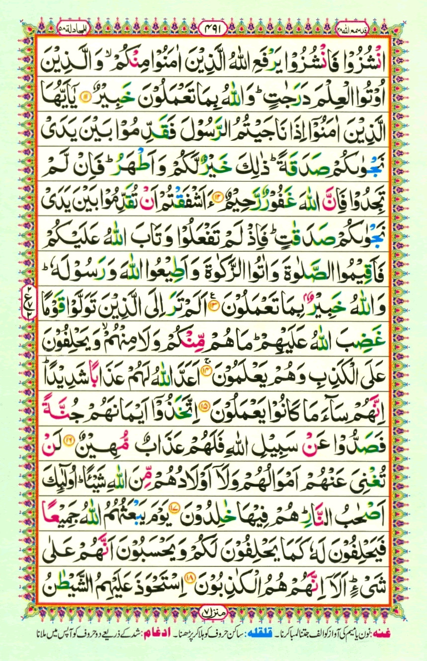 Read Al Quran Part / Chapter / Siparah 28 Page No 491